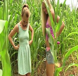 Novinhas fazendo sexo no meio do mato escondido